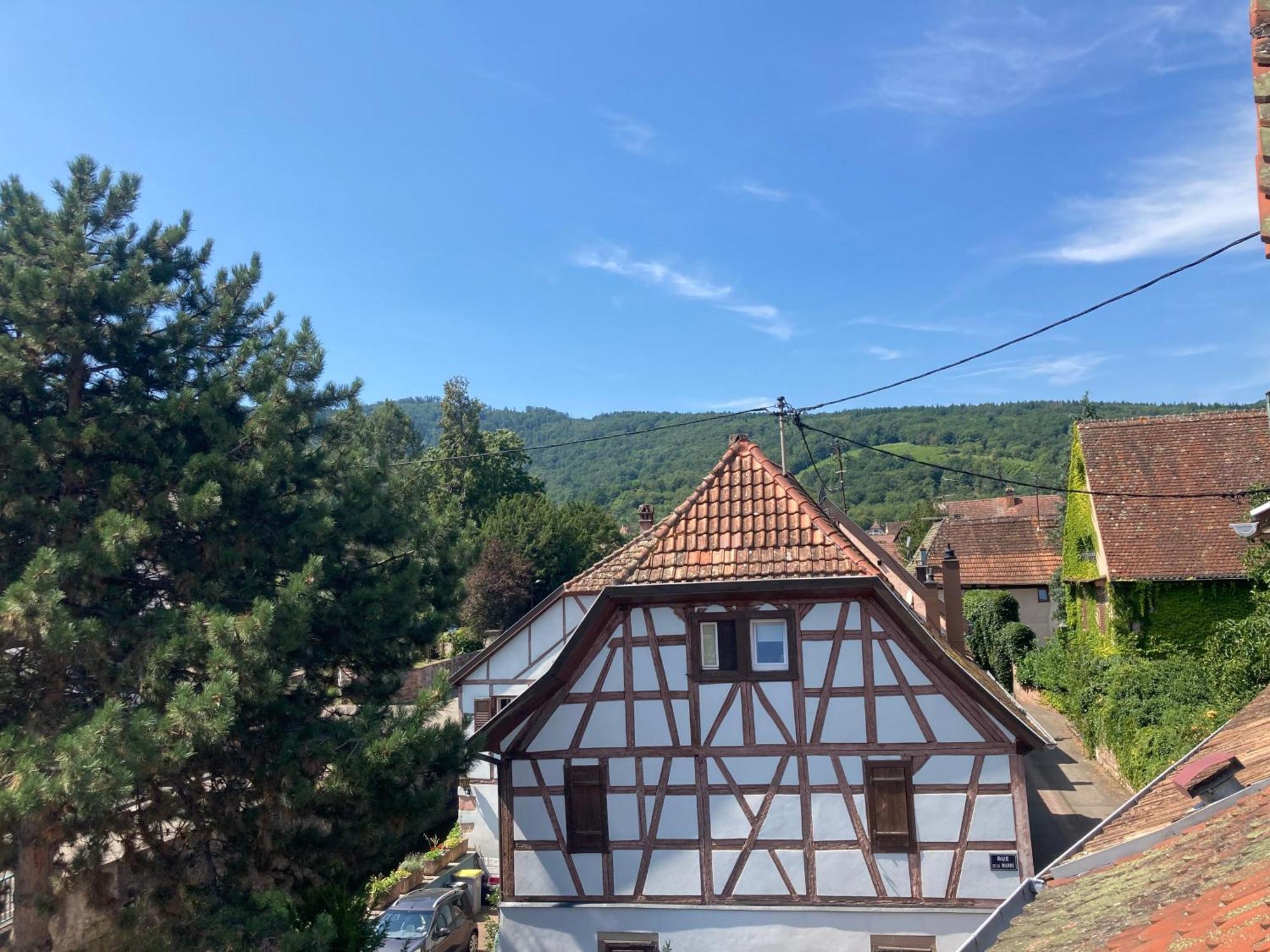 La Bonneterie Hotel Andlau-au-Val Eksteriør billede